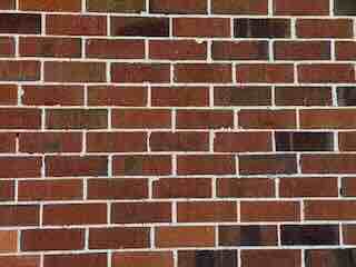 Photo of bricks in a wall of the author's house